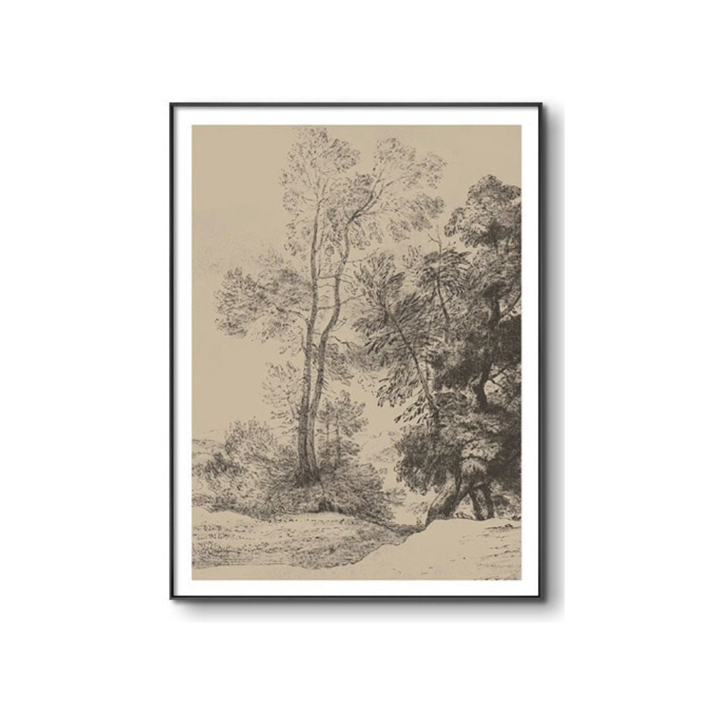 Through The Woods Aluminium Framed Print