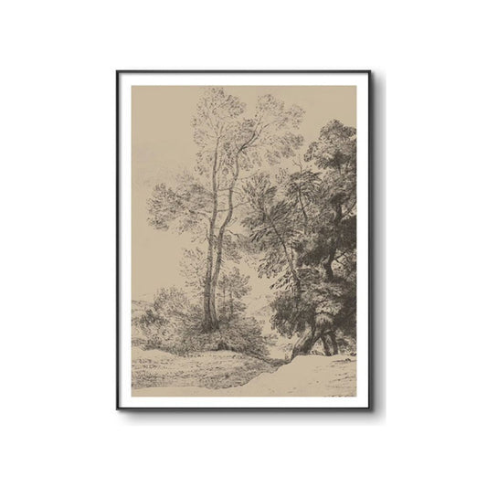 Through The Woods Aluminium Framed Print