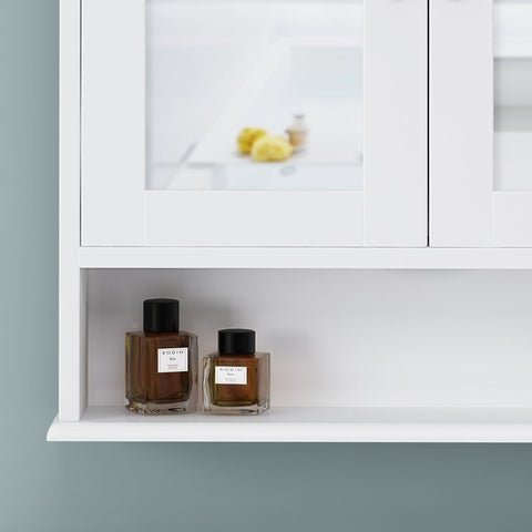 Image of Dillyn Contemporary 2 Door Mirror Medicine Cabinet